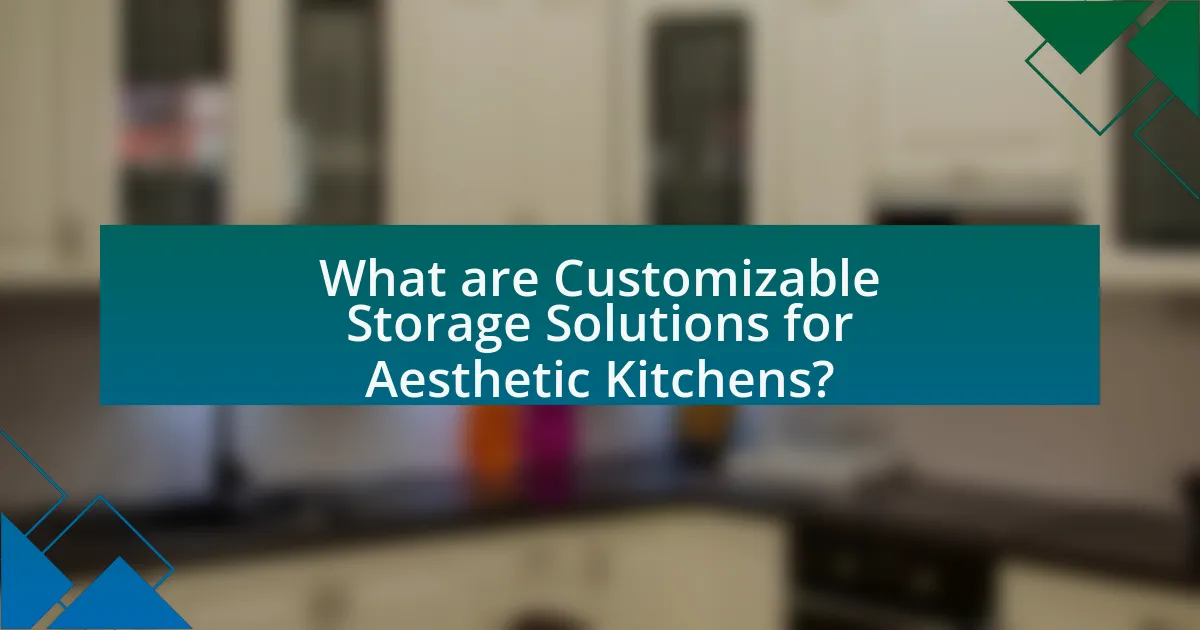 What are Customizable Storage Solutions for Aesthetic Kitchens?