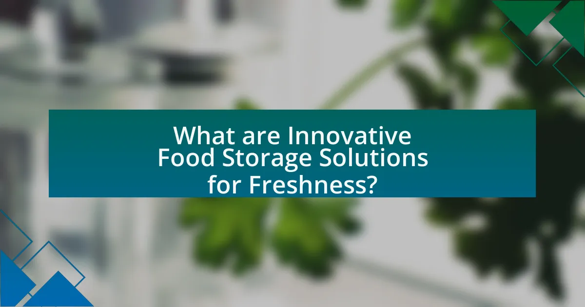 What are Innovative Food Storage Solutions for Freshness?