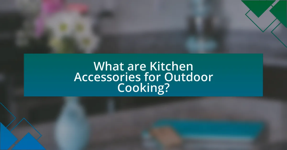 What are Kitchen Accessories for Outdoor Cooking?
