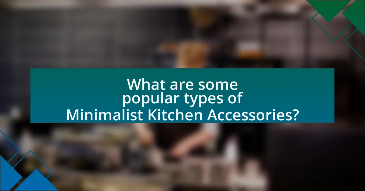 What are some popular types of Minimalist Kitchen Accessories?