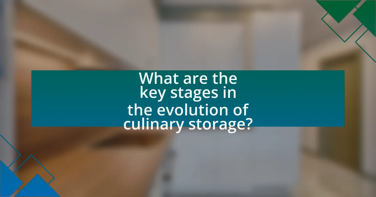 What are the key stages in the evolution of culinary storage?