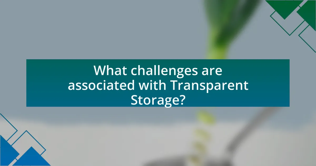 What challenges are associated with Transparent Storage?
