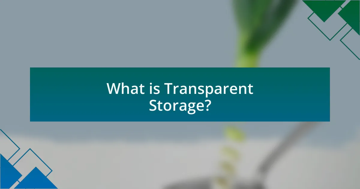 What is Transparent Storage?