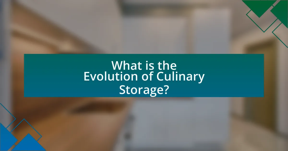What is the Evolution of Culinary Storage?