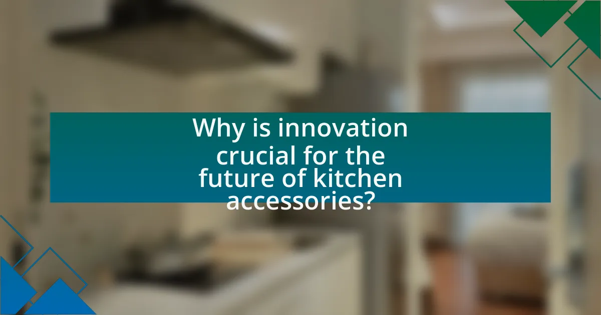 Why is innovation crucial for the future of kitchen accessories?